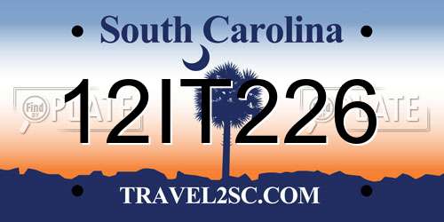 12IT226 South Carolina License Plate