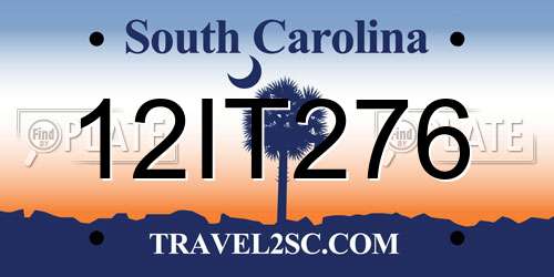 12IT276 South Carolina License Plate