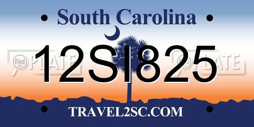 12SI825 South Carolina License Plate