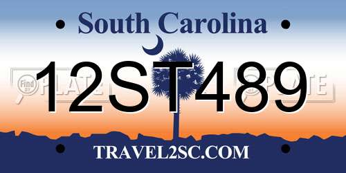 12ST489 South Carolina License Plate
