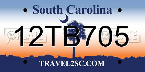 12TB705 South Carolina License Plate