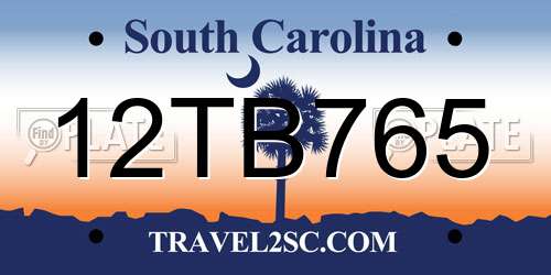 12TB765 South Carolina License Plate