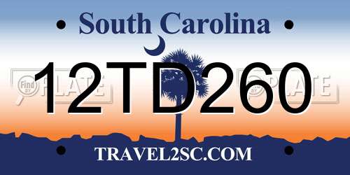 12TD260 South Carolina License Plate