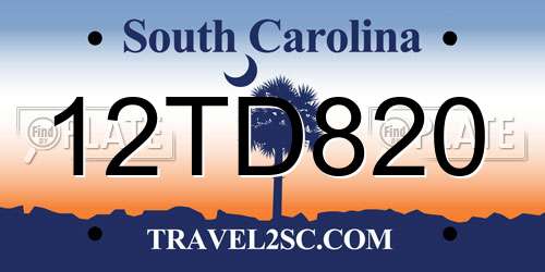12TD820 South Carolina License Plate
