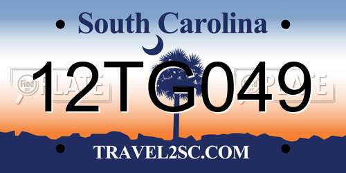 12TG049 South Carolina License Plate