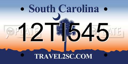 12TI545 South Carolina License Plate