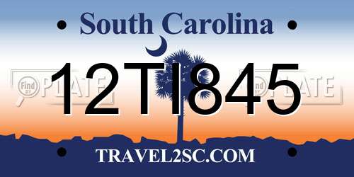 12TI845 South Carolina License Plate