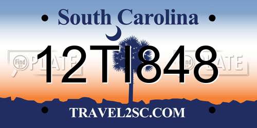 12TI848 South Carolina License Plate