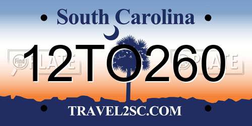 12TO260 South Carolina License Plate