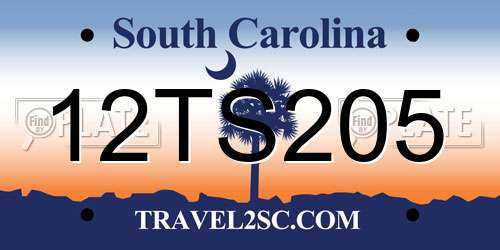 12TS205 South Carolina License Plate