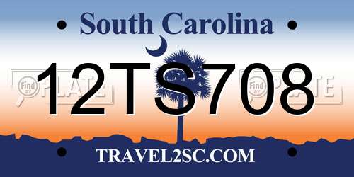 12TS708 South Carolina License Plate