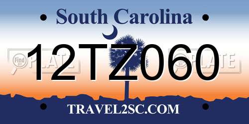 12TZ060 South Carolina License Plate