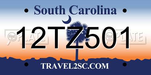 12TZ501 South Carolina License Plate