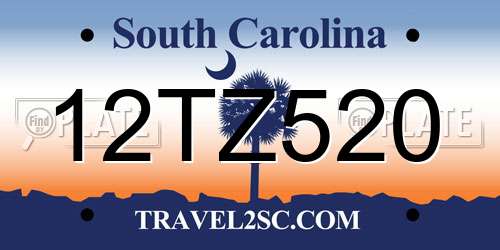 12TZ520 South Carolina License Plate