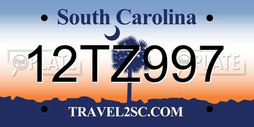 12TZ997 South Carolina License Plate