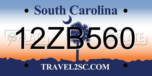 12ZB560 South Carolina License Plate