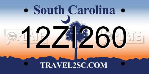 12ZI260 South Carolina License Plate