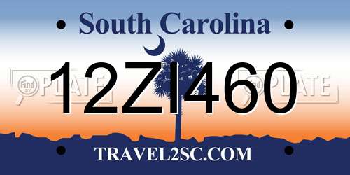 12ZI460 South Carolina License Plate