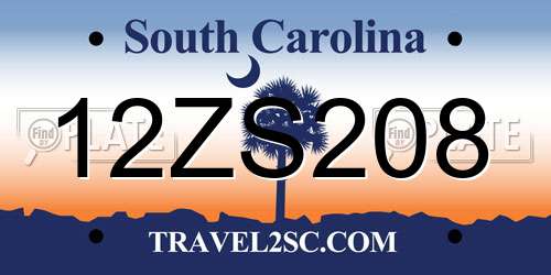 12ZS208 South Carolina License Plate