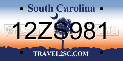 12ZS981 South Carolina License Plate