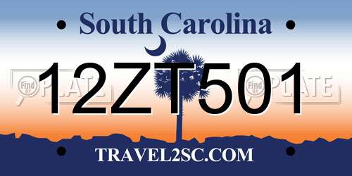 12ZT501 South Carolina License Plate