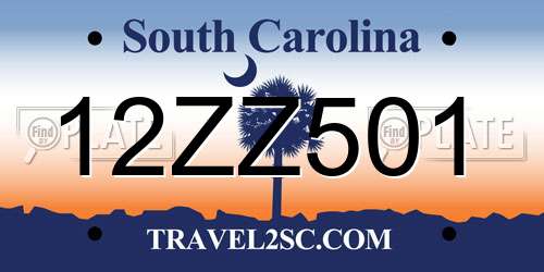 12ZZ501 South Carolina License Plate