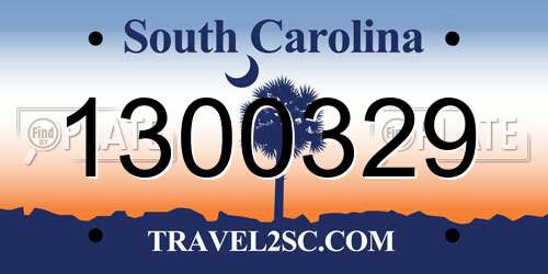 1300329 South Carolina License Plate