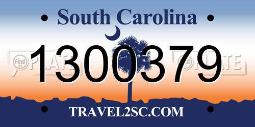 1300379 South Carolina License Plate