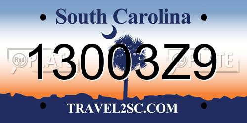 13003Z9 South Carolina License Plate