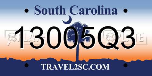 13005Q3 South Carolina License Plate