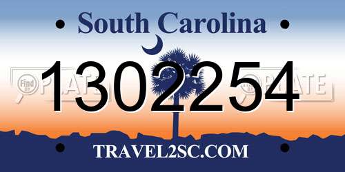 1302254 South Carolina License Plate