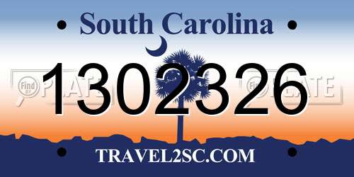 1302326 South Carolina License Plate