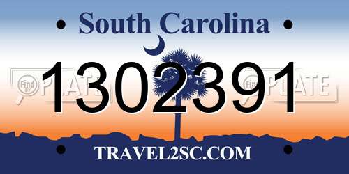 1302391 South Carolina License Plate