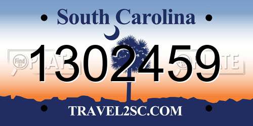 1302459 South Carolina License Plate