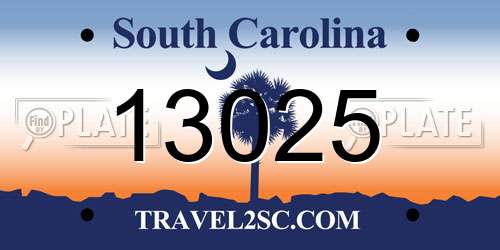 13025 South Carolina License Plate