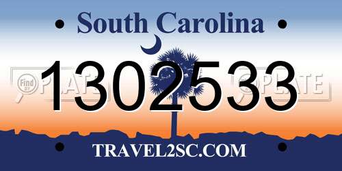 1302533 South Carolina License Plate