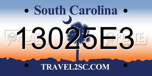 13025E3 South Carolina License Plate