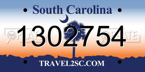 1302754 South Carolina License Plate