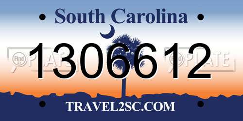 1306612 South Carolina License Plate