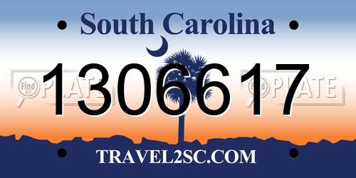 1306617 South Carolina License Plate