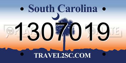 1307019 South Carolina License Plate