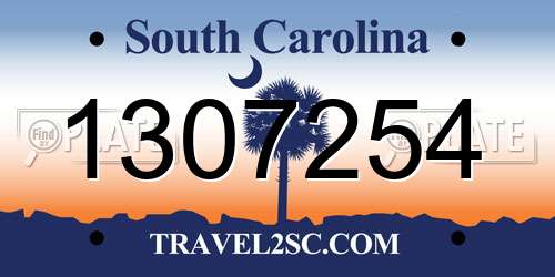 1307254 South Carolina License Plate