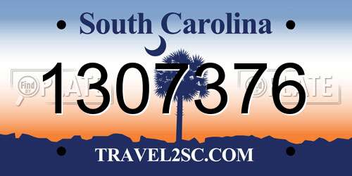 1307376 South Carolina License Plate