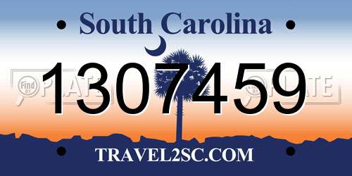 1307459 South Carolina License Plate