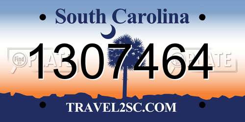 1307464 South Carolina License Plate