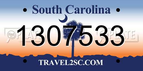 1307533 South Carolina License Plate
