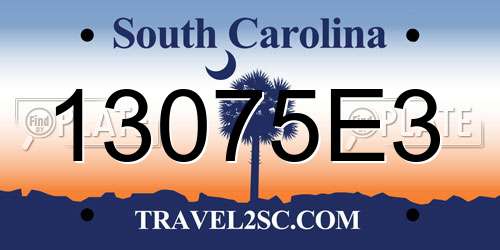 13075E3 South Carolina License Plate