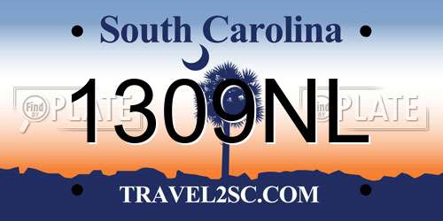 1309NL South Carolina License Plate