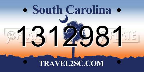 1312981 South Carolina License Plate