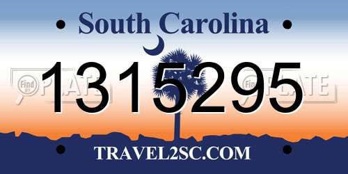 1315295 South Carolina License Plate